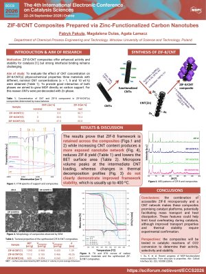 Poster presentation ECCS final version Pakula.pdf